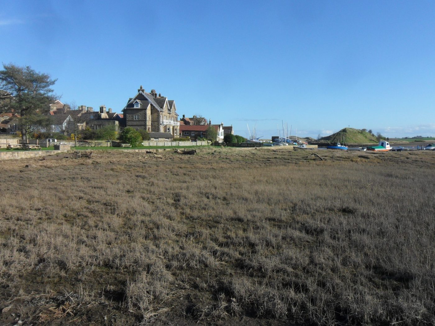 Marsh